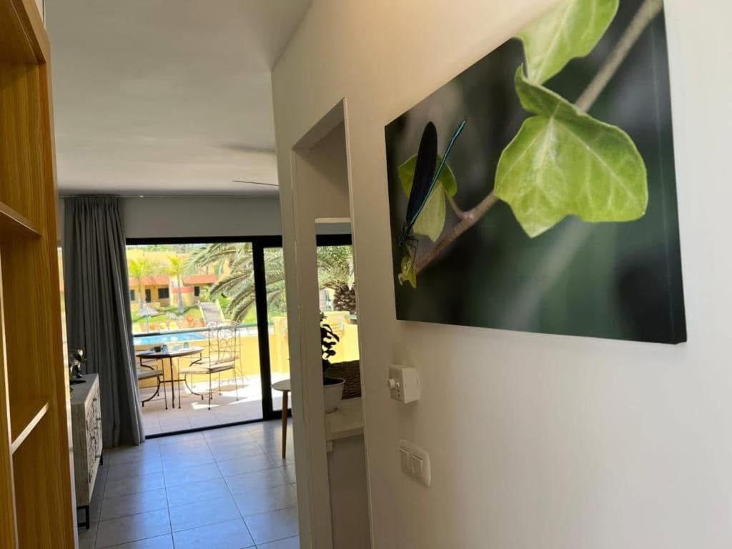 Atlantic Garden Andrew Apartments Pool Air Conditioning Corralejo Exterior foto